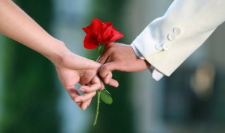 朴实的婚姻语录（关于婚姻的经典语录,句句精辟）