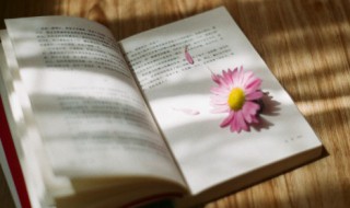 烦人的说说（形容孩子烦人的说说）