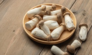 鲍菇和什么相克(杏鲍菇和啥相克)