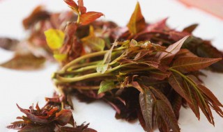 香椿需要焯水吗 凉拌香椿需要焯水吗