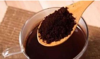 孢子粉什么时候吃最好（灵芝孢子粉什么时候吃最好）