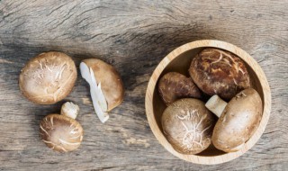 茨菇哪些人不能吃（那些人不能吃茨菇）