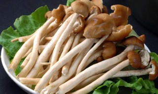 棒蘑菇孕妇可以吃吗 孕妇可以吃蘑菇那