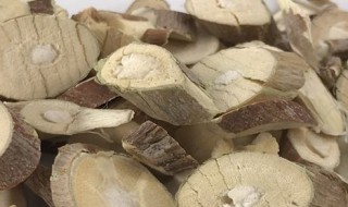 桑白皮功效与作用及禁忌(桑白皮功效与作用及禁忌症有哪些?)