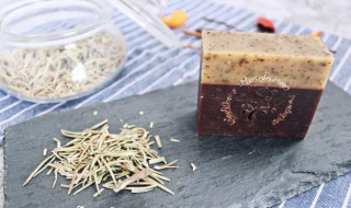 白榄根的功效（白榄根的功效与作用及禁忌）