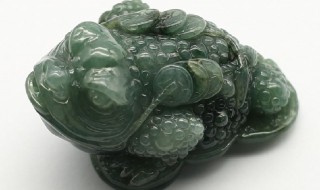 翡翠蟾蜍的寓意(翡翠蟾蜍的寓意是什么)