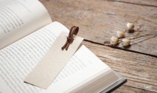 此生不遇有心人什么意思 为什么此生不遇有心人