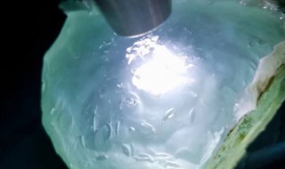 翡翠原石打灯看教程 翡翠原石打灯图文教程