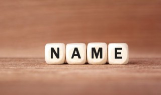 z开头的英文名大全(z开头的英文名有哪些)