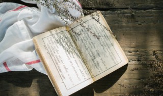 纳兰容若有名的十首诗(纳兰容若最有名的十首诗)