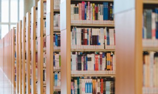 摩登时代小说简介 摩登时代小说豆瓣