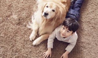 如何爱自己的狗狗 怎么让狗爱上自己