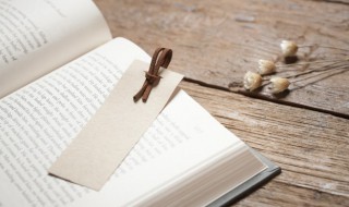 什么是钓系美人 啥是钓系美人