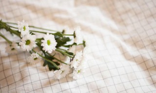 桌布发霉了怎么清洗（桌布发霉了怎么清洗掉）