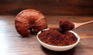 灵芝孢子粉的功效是什么(灵芝孢子粉的功效是什么?)