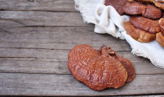 灵芝的功效主要有哪些(灵芝的功效与作用到底是什么)