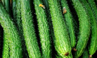 黄瓜胶可以祛痘吗（黄瓜胶可以祛痘痘吗）