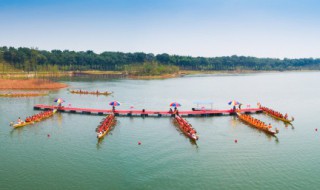 关于端午节主题文案（以端午节为主题的文案）