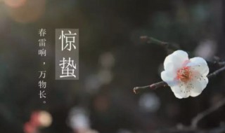 惊蛰后是什么节气(惊蛰前是什么节气)