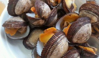 毛蛤蜊不能和什么一起吃 蛤蜊能和毛豆一起吃吗