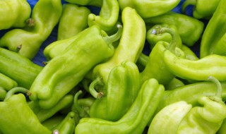 辣椒不能和哪些食物一起吃 红辣椒不能和什么一起吃