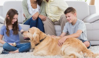 睿名字的含义是什么? 杨昕睿名字的含义是什么