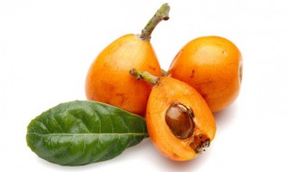 水果腐烂后的小飞虫从哪里来的（水果腐烂后的小飞虫从哪里来的高楼也会出现）