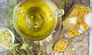 苦菊能不能生着吃 苦菊只能生吃吗