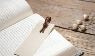 带昕的女孩名字 带昕的女孩名字寓意