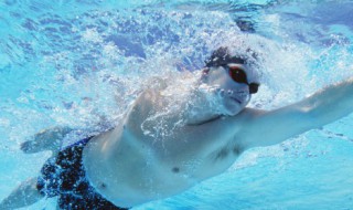 自由泳的专业训练动作 自由泳 训练