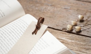 至美奖是什么（至美奖是什么奖项）