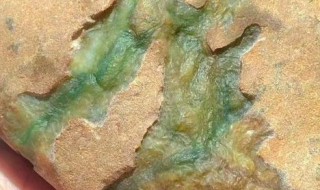 哪里有翡翠原石（中国哪里有翡翠原石）