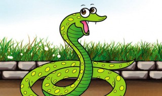 蛇的舌头的作用（蛇的舌头的作用一年级）