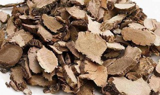 石菖蒲的作用和功效 郁金的作用和功效