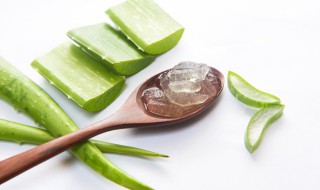 芦荟的作用和功效（芦荟的作用和功效芦荟美容）