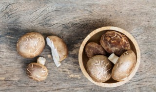 香菇禁忌 香菇禁忌和什么不能同吃