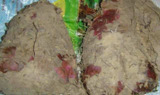 大薯什么人不能吃 吃大薯不能吃什么