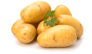 土豆发芽了可以吃吗（黄心土豆发芽了可以吃吗）