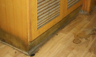 旧柜子发霉有味怎么去除 衣柜有发霉的味道怎么去除