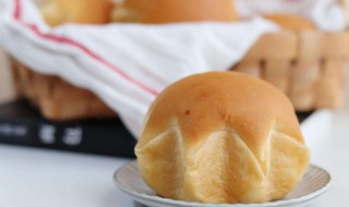 夏季面包怎么存放 面包在夏天怎么保存