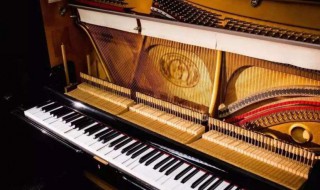 钢琴如何保养 钢琴日常保养方法