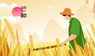 2022年的芒种是哪一天 2020年芒种是哪天