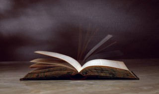 貔貅的寓意及象征是什么（各种貔貅的寓意及象征）