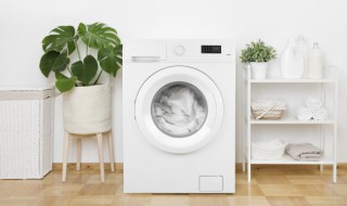 洗衣机长期停用该如何保养的常识(洗衣机长期停用应该如何保养)