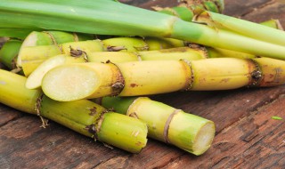 甘蔗常温下可以放多久 甘蔗正常温度下可保存多久