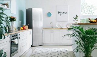 去除冰箱噪音的小窍门 冰箱如何消除噪音