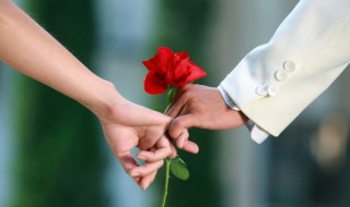 26朵玫瑰花代表什么意思（26朵玫瑰代表什么意思回答要真实）