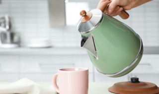 如何选购电热水壶 怎么选购热水壶