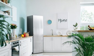 冰箱内照明灯不亮的原因及处理方法 冰箱里的照明灯不亮了