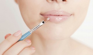 怎么不用蜂蜡制作润唇膏（不用蜂蜡怎么做润唇膏）